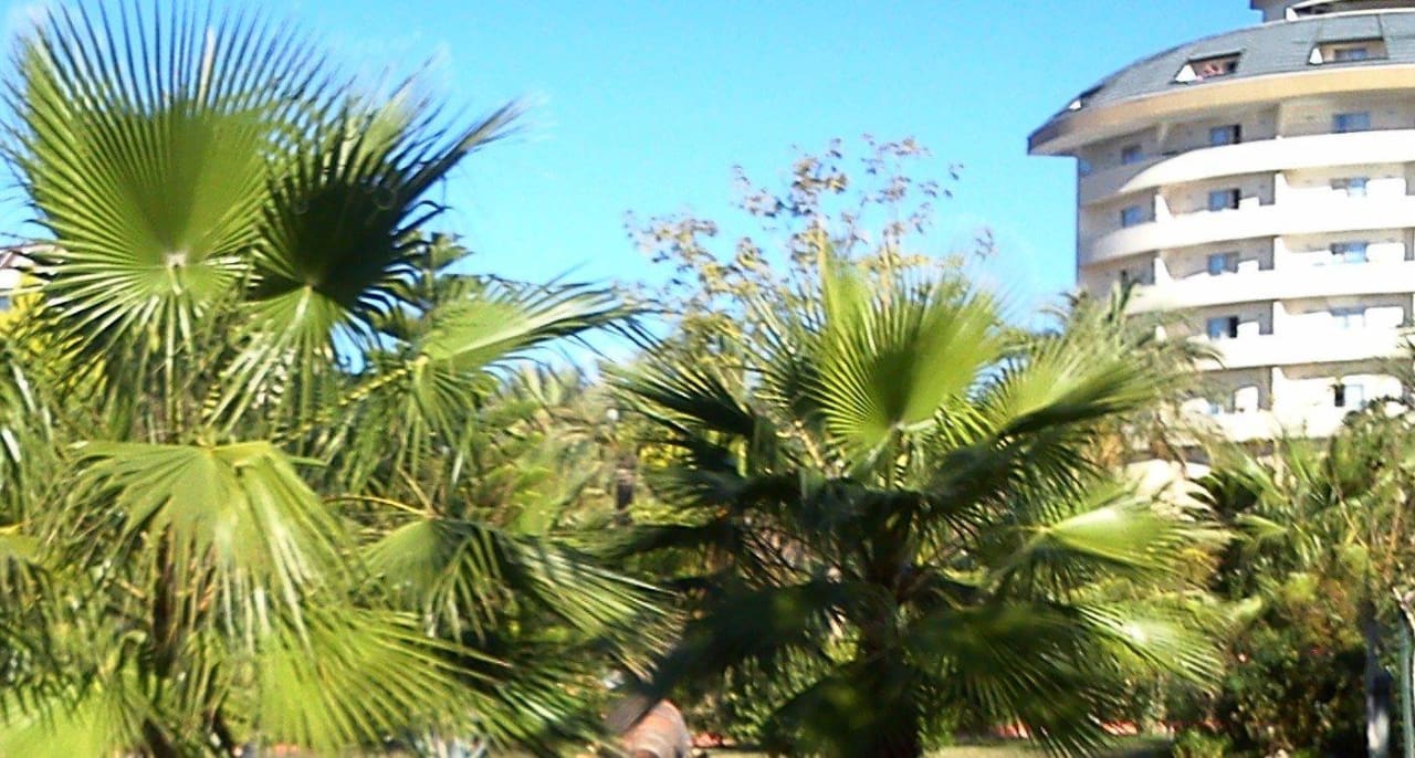 Hotel Saphir & Spa = im Garten Saphir Resort & Spa