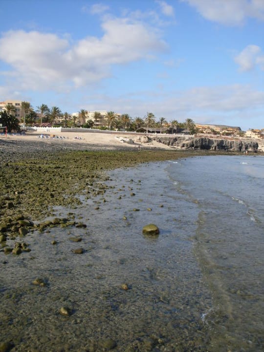 Blick auf den Hotelstrand SBH Costa Calma Beach Resort