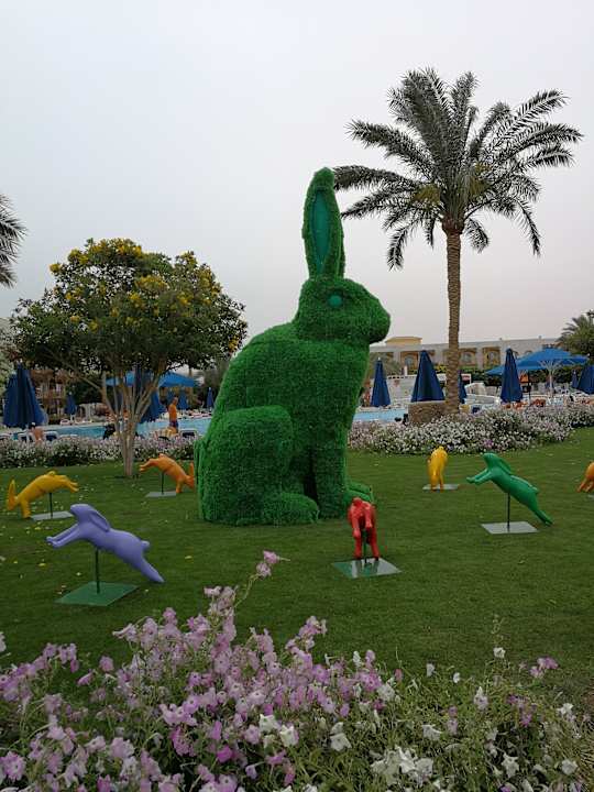 Gartenanlage Desert Rose