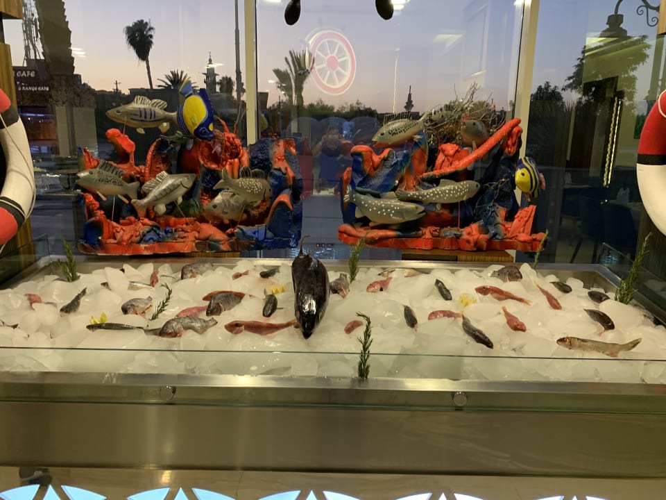 Gastro Pickalbatros White Beach Resort - Hurghada