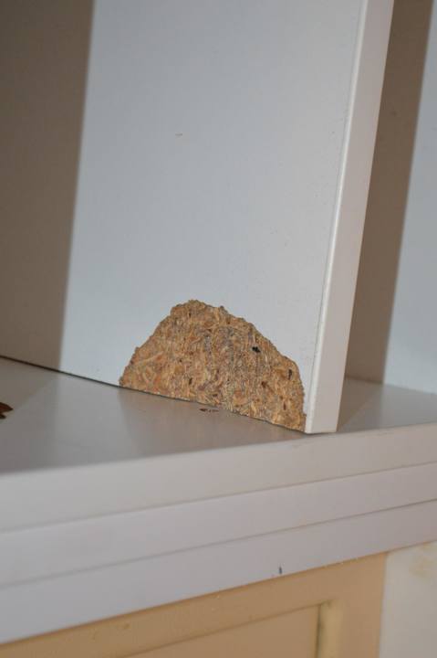 Schrank Einlageboden SBH Hotel Taro Beach