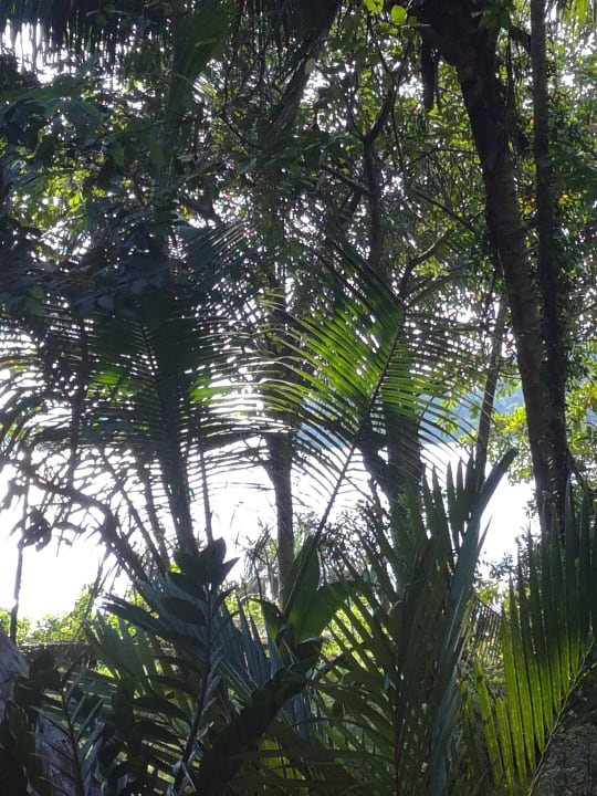 Ausblick Isuru Holiday Home