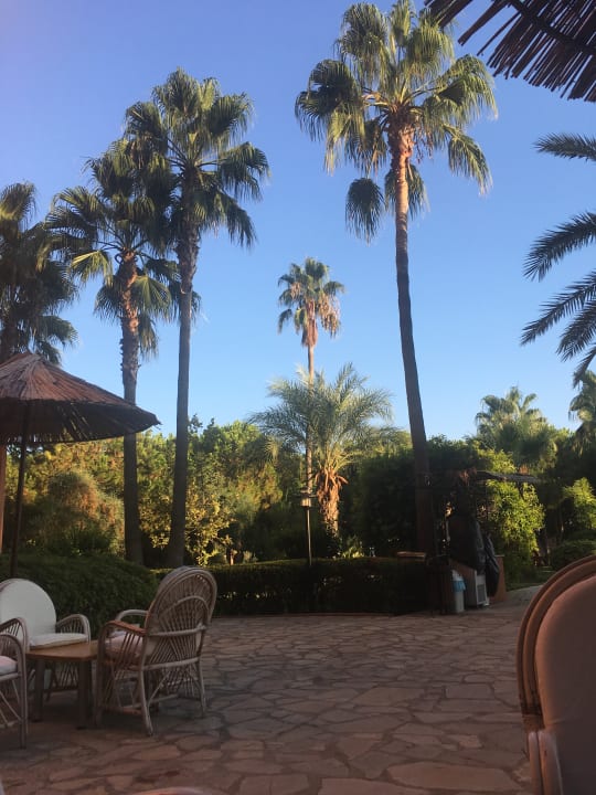 Gartenanlage Club Turtas Beach Hotel