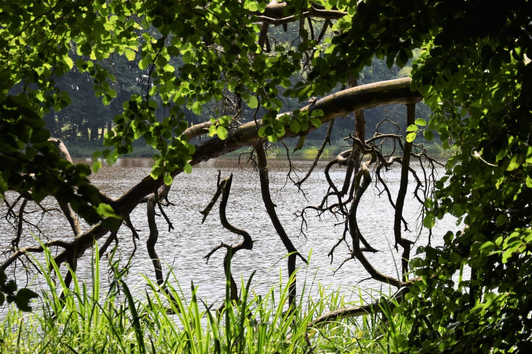 Gartenanlage Upstalsboom Varel-Dangast