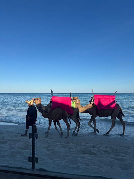 Strand ROBINSON DJERBA BAHIYA