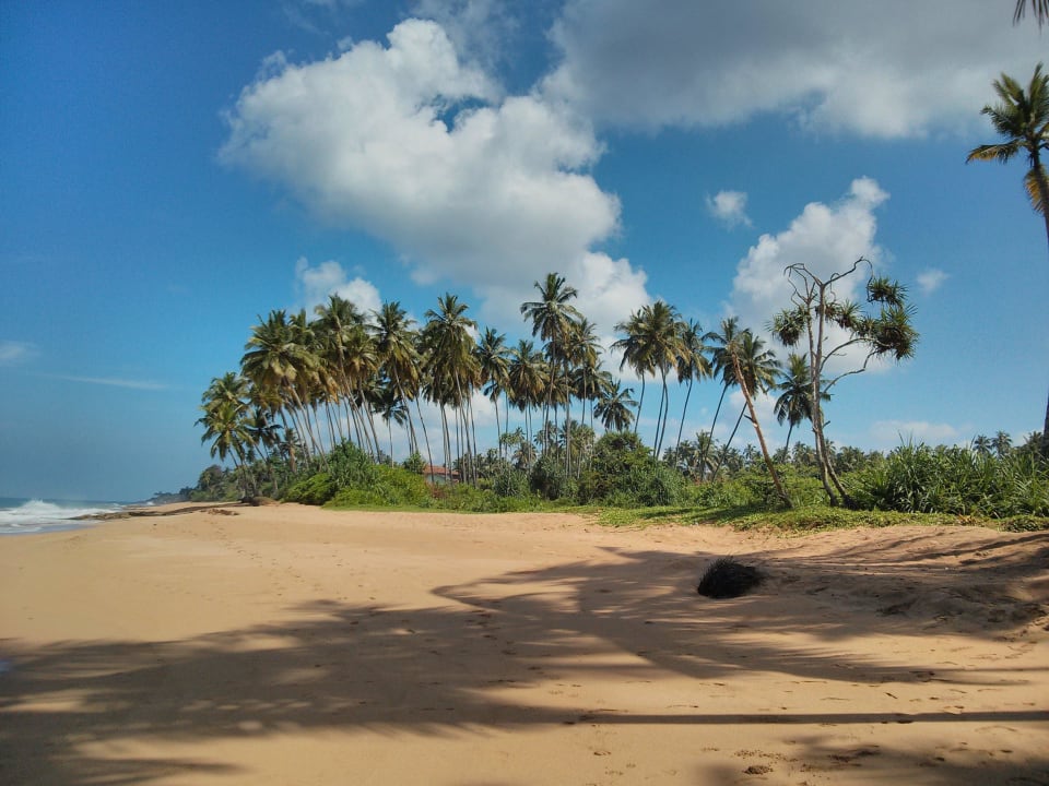 Hotelstrand Hotel Garden Beach