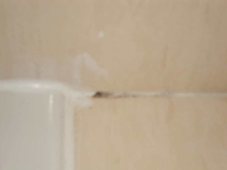 Schimmel im Badezimmer The Sea Hotel by Grupotel - Adults only