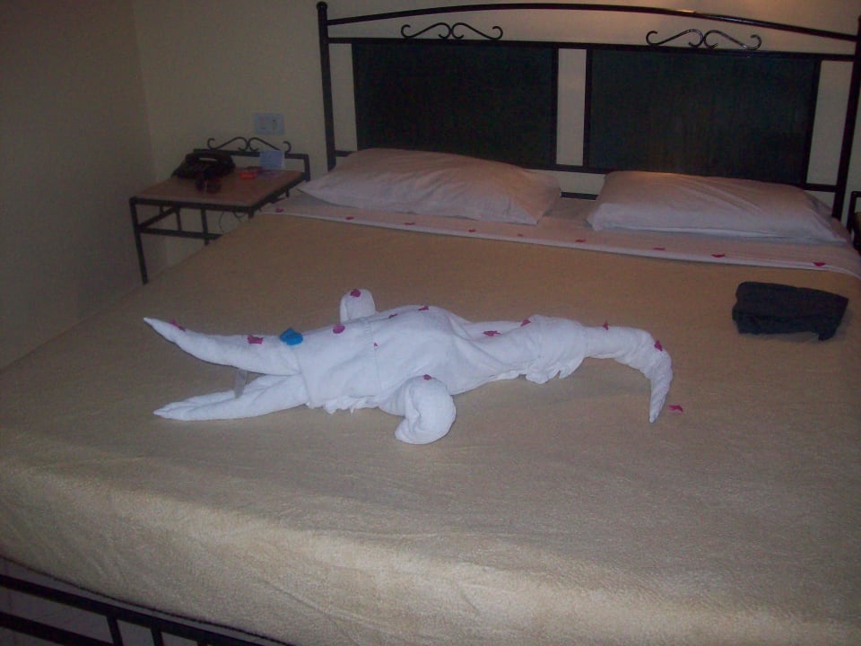 Da freut man sich  Jaz Makadi Oasis Resort