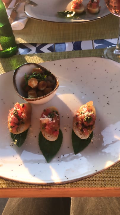 Gastro Acanthus Cennet Barut Collection