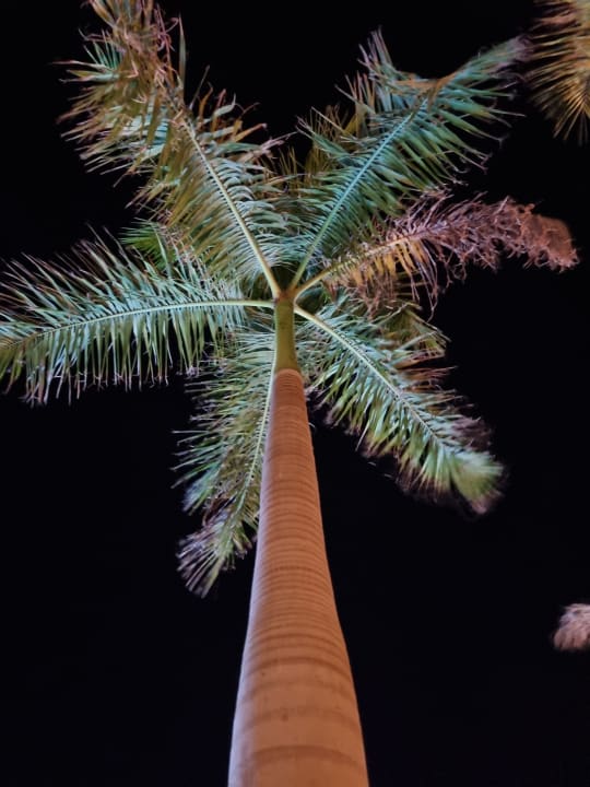 Ausblick The Breakers Diving & Surfing Lodge