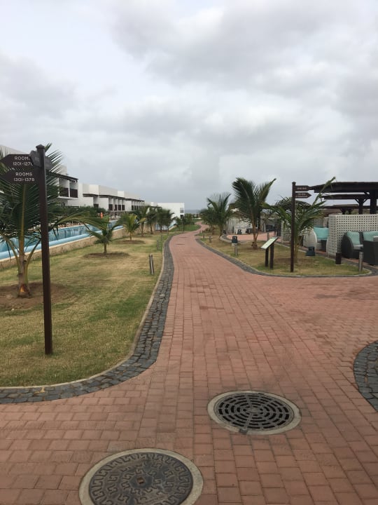 Gartenanlage Meliá Laguna Beach