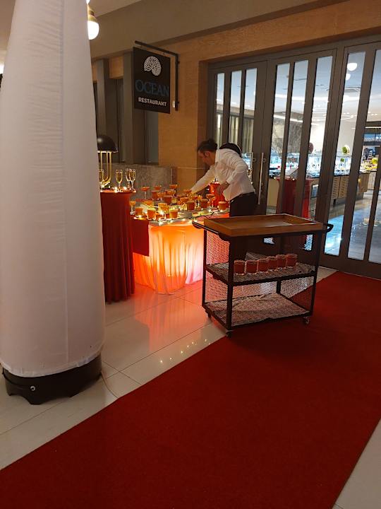 Gastro Seashell Vega