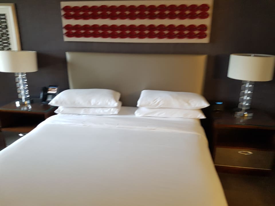 Zimmer theWit Chicago - a DoubleTree by Hilton Hotel