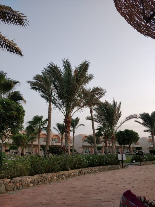 Gartenanlage Three Corners Sea Beach Resort