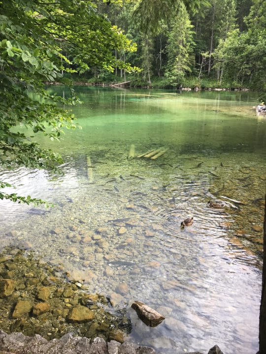 Ausblick Hotel Am Badersee