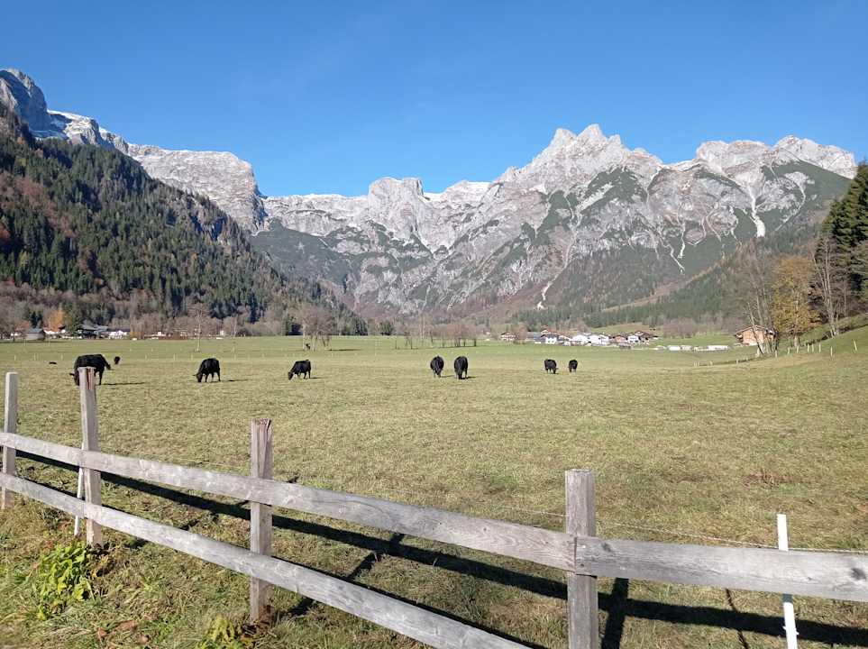 Ausblick Gut Wenghof - Family Resort
