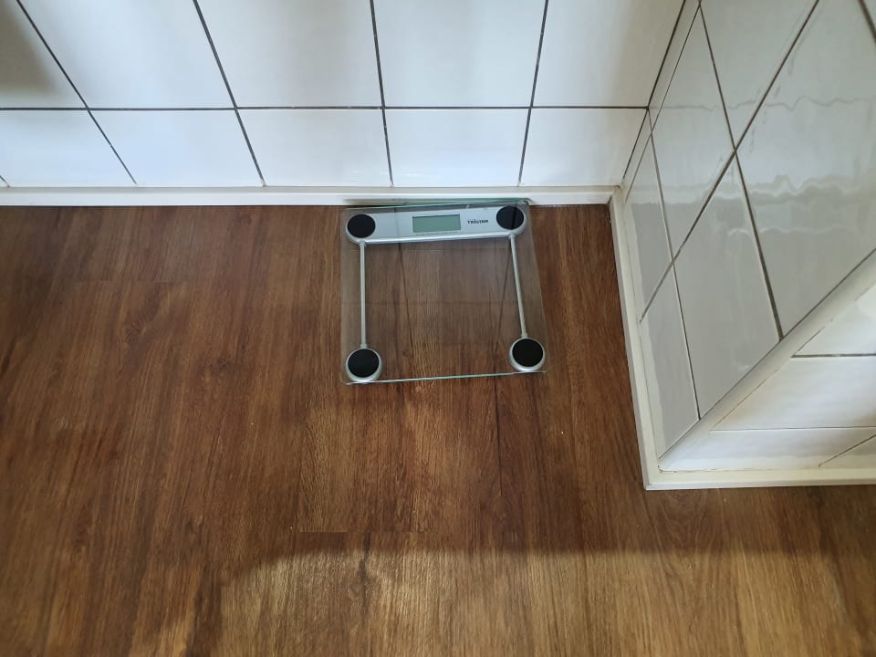 Zimmer H10 Rubicón Horizons Collection