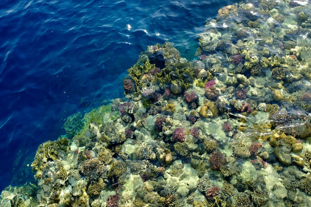 Strand Pickalbatros Sands Hotel - Port Ghalib