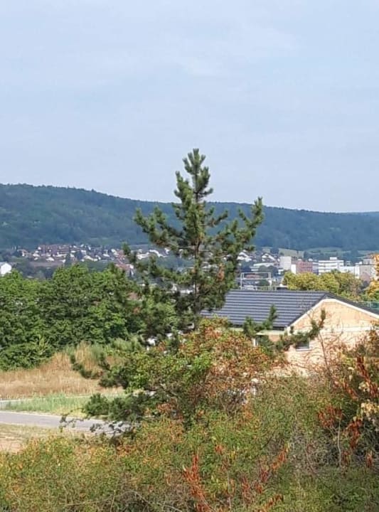 Ausblick Gasthof zum Rödelseer Schwan