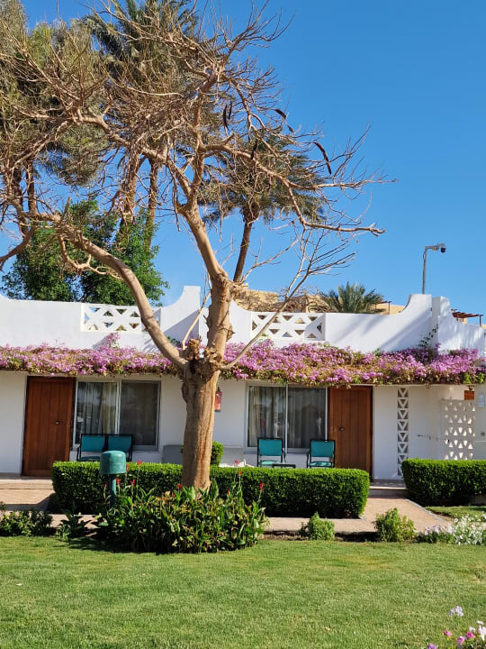 Außenansicht Shams Safaga Resort