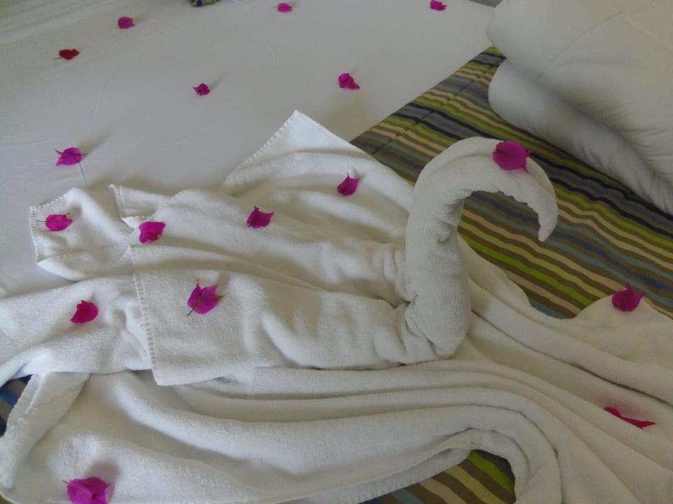 Schwan auf dem Bett Monarque Club Rivage