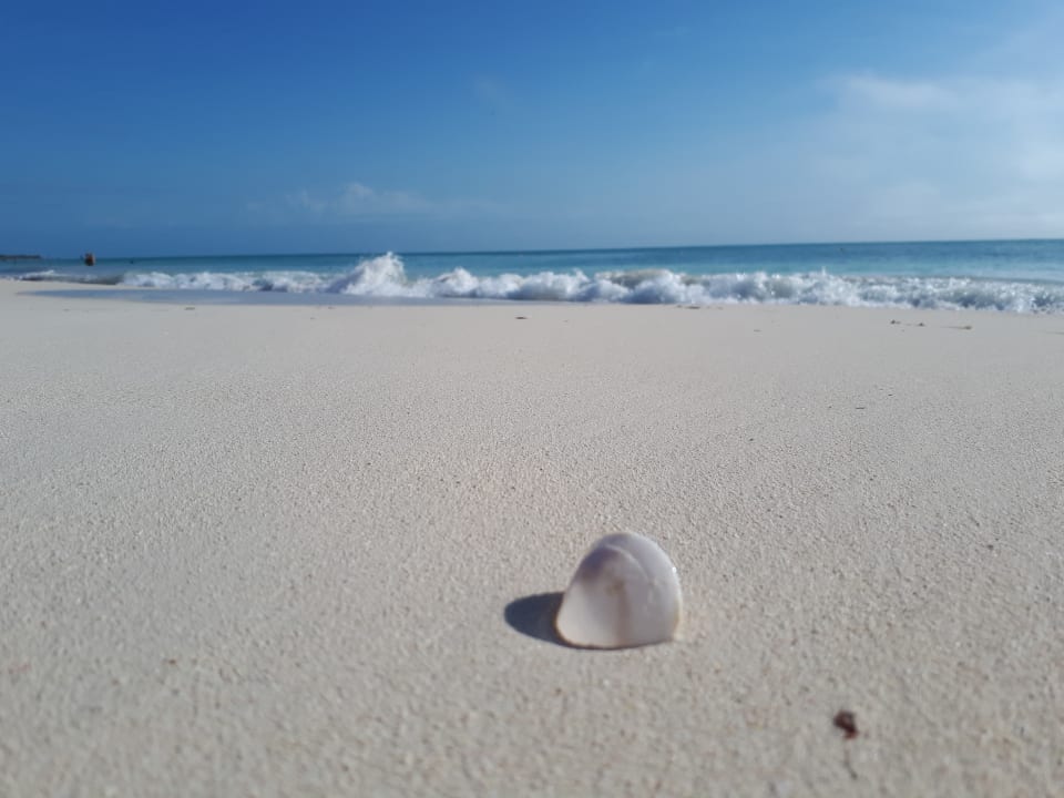 Strand Hotel Riu Dunamar