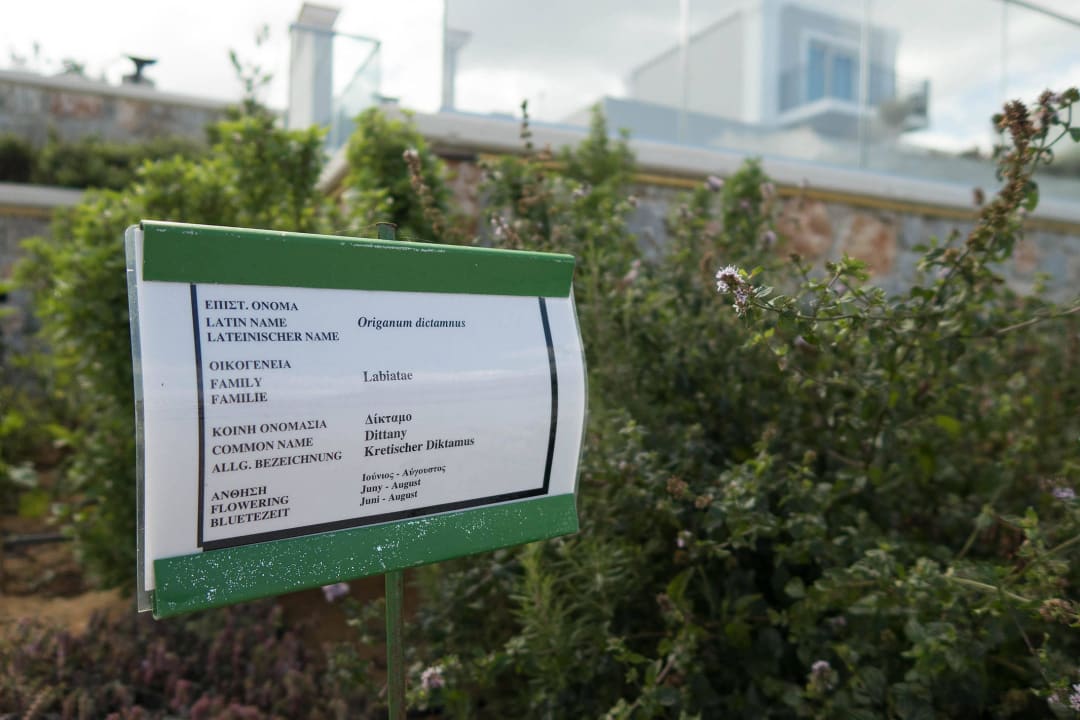 Kräutergarten Anemos Luxury Grand Resort