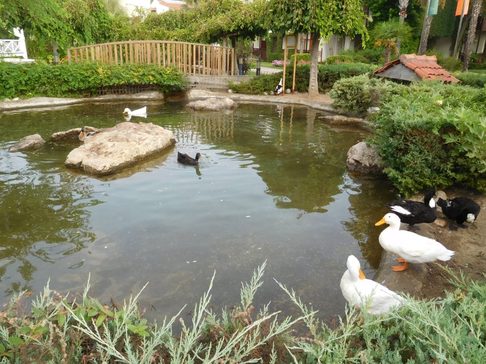 Gartenanlage Club Tuana Fethiye