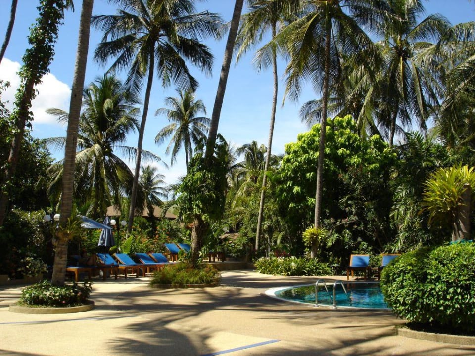 Pool in Strandnähe The Fair House Beach Resort