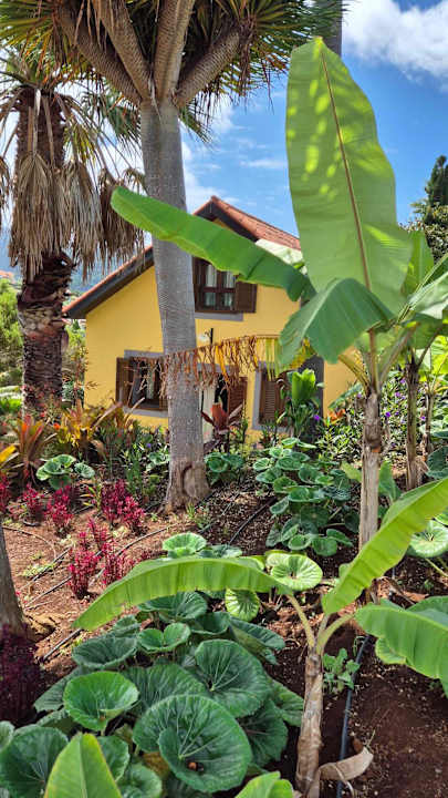 Gartenanlage Hotel Quinta do Furao