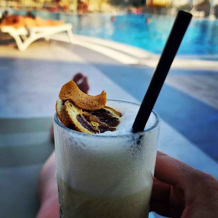 Gastro Seashell Vega