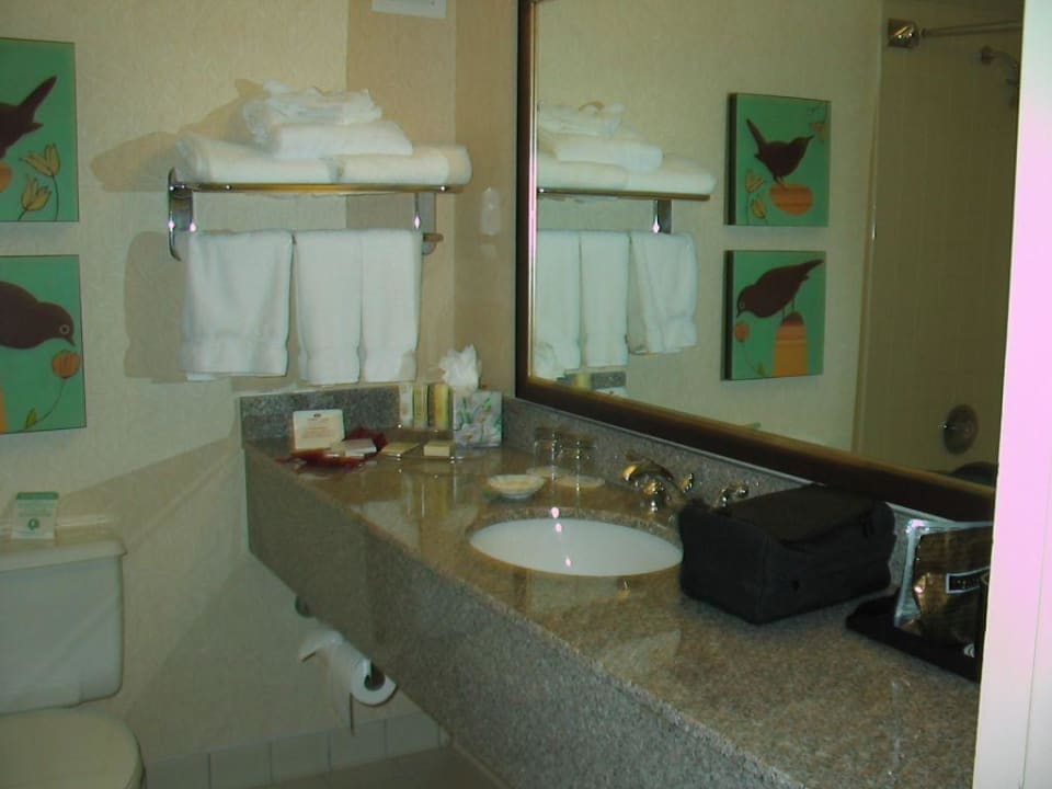 Waschtisch Crowne Plaza Miami International Airport