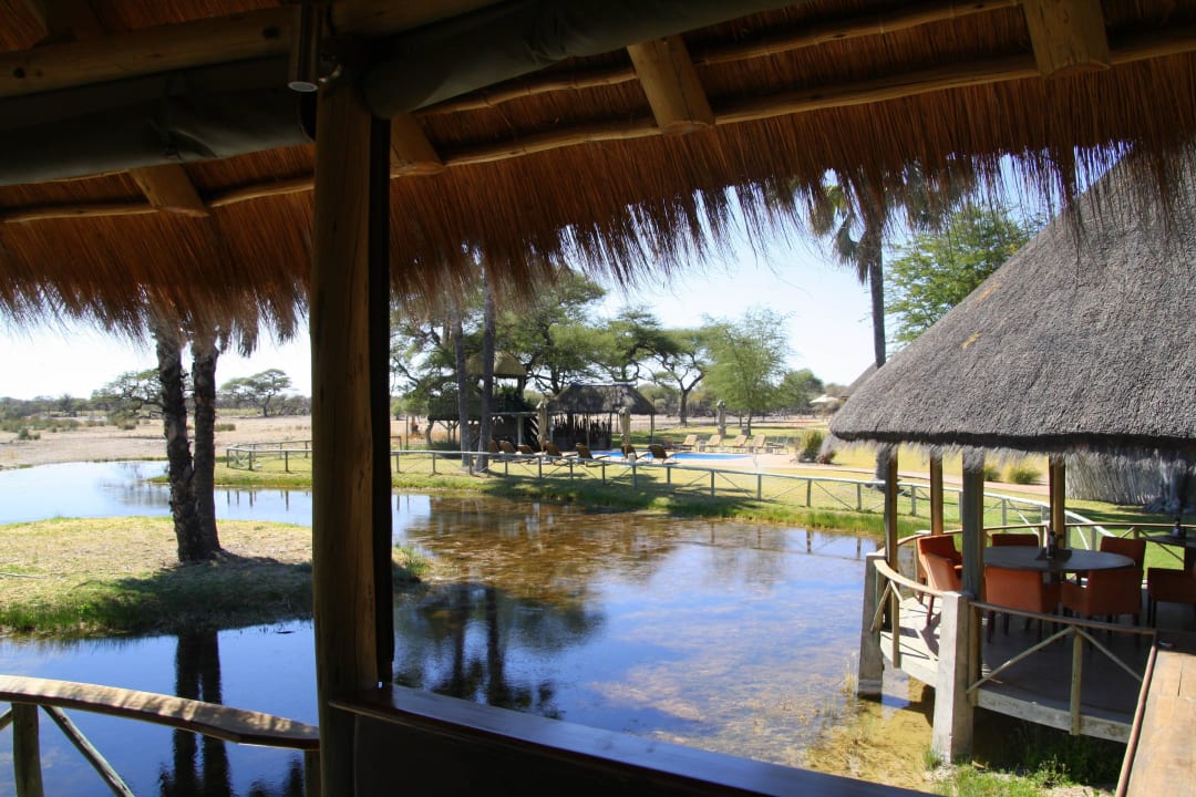 Wasserloch am Restaurant Onguma Game Reserve
