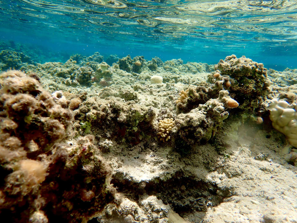 Strand Lazuli Hotel Marsa Alam