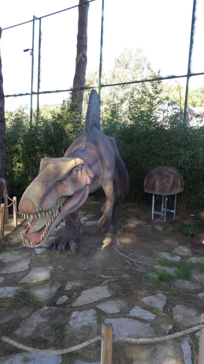 Dino-Park. Ganz toll für die Kids! Maxx Royal Belek Golf Resort