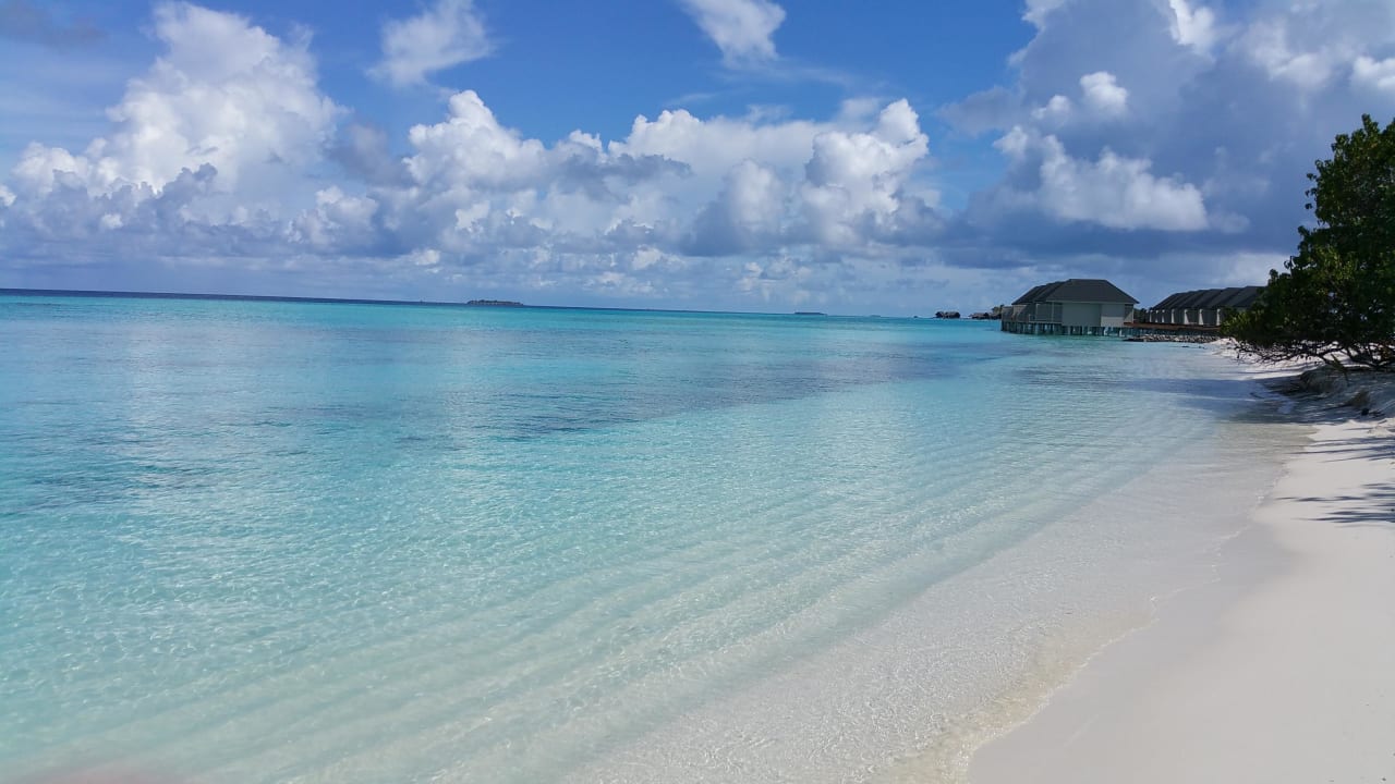 Strand Summer Island Maldives