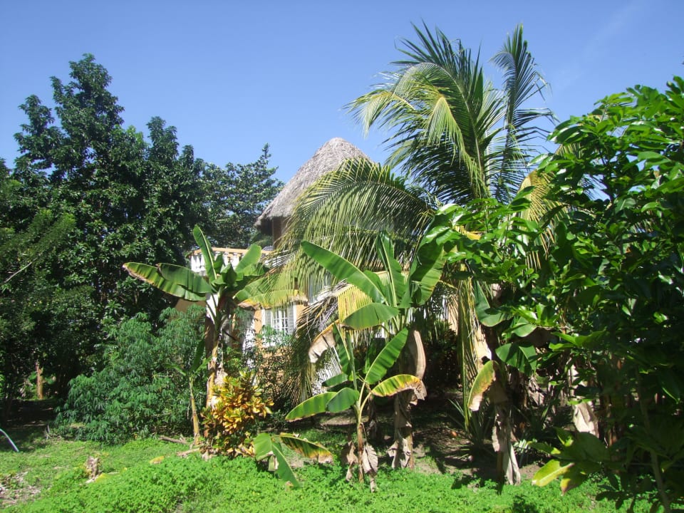 Ansicht von der Straße Spring Garden Guesthouse