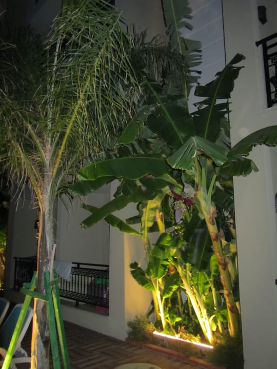Abendblick Paloma Oceana