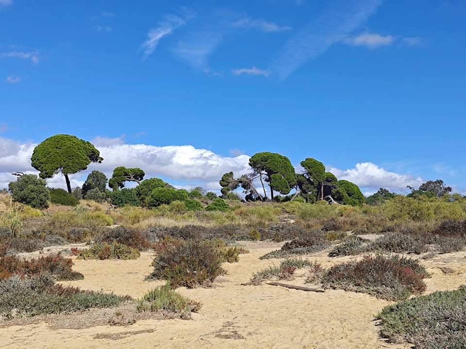 Sonstiges Golden Club Cabanas