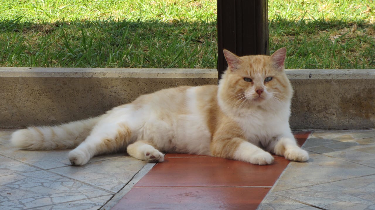 Garfield Lindos Princess Beach Resort & Spa