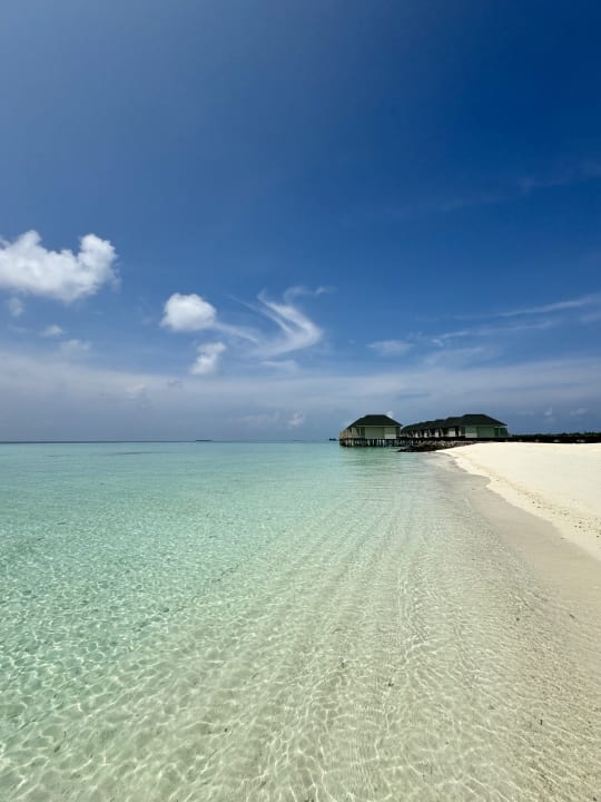 Strand Summer Island Maldives