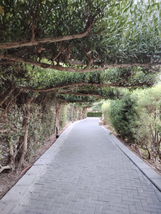 Strand Jaz Makadi Oasis Resort