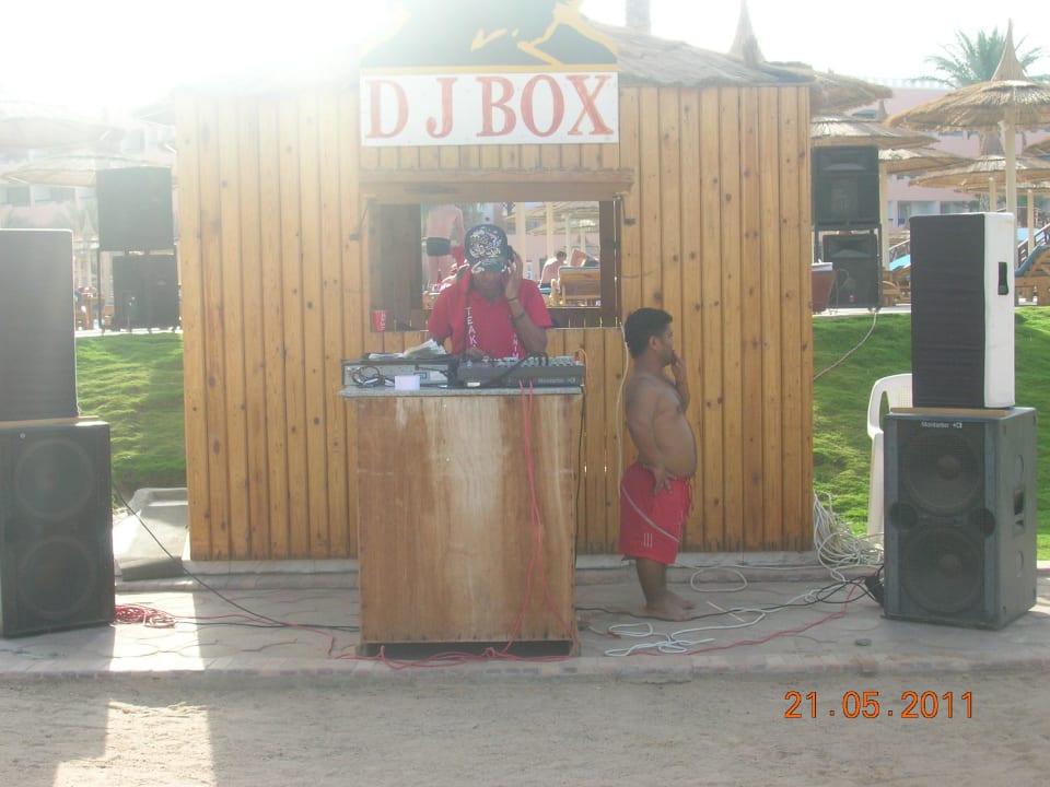 Аниматоры Beach Albatros Resort