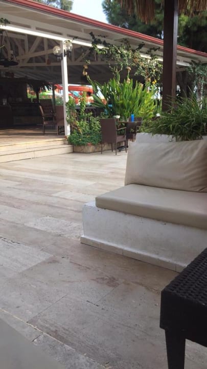 Restaurant Club Turtas Beach Hotel