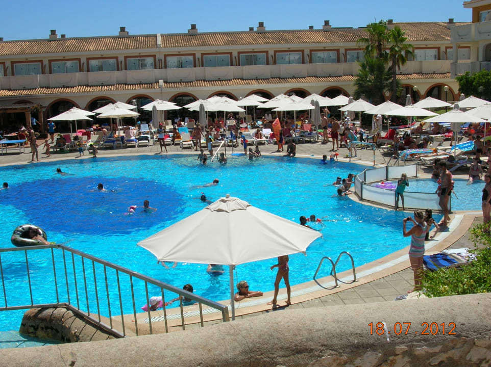 Basen  blau punta reina