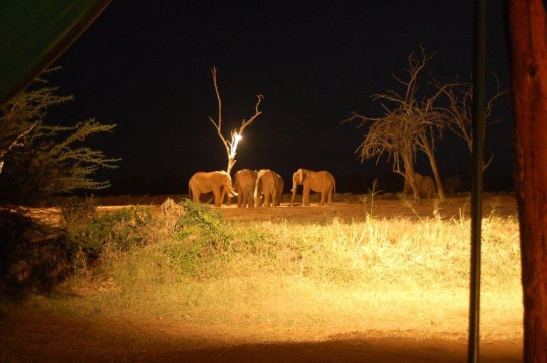 Ausblick 2 Sentrim Tsavo Lodge