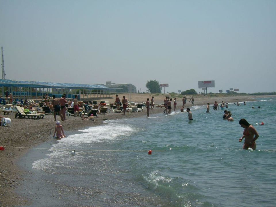 Der Strand Crystal Admiral Aqua Collection