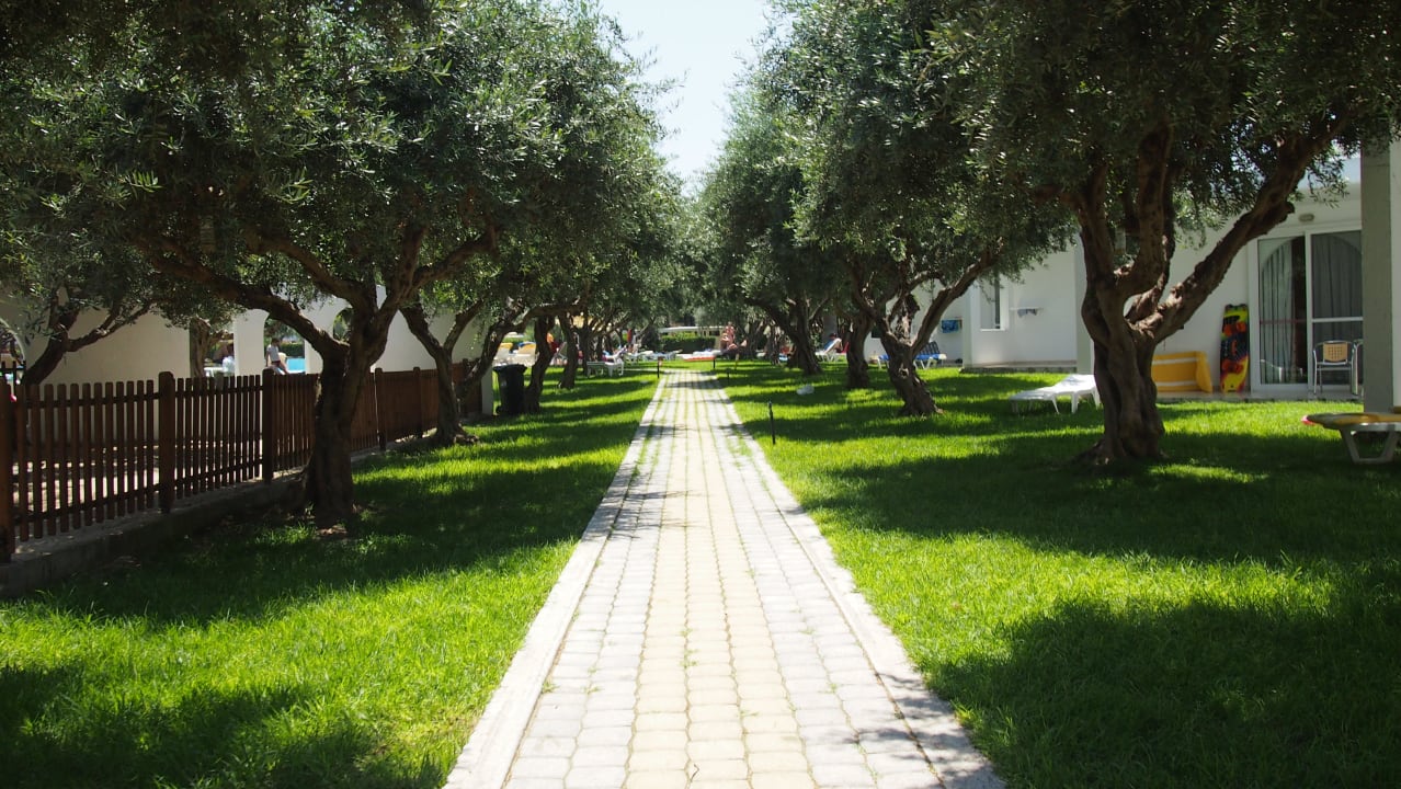 Droga z plaży TUI KIDS CLUB Alex Beach