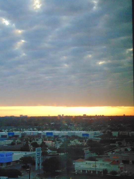 Ausblick Renaissance Dallas Addison