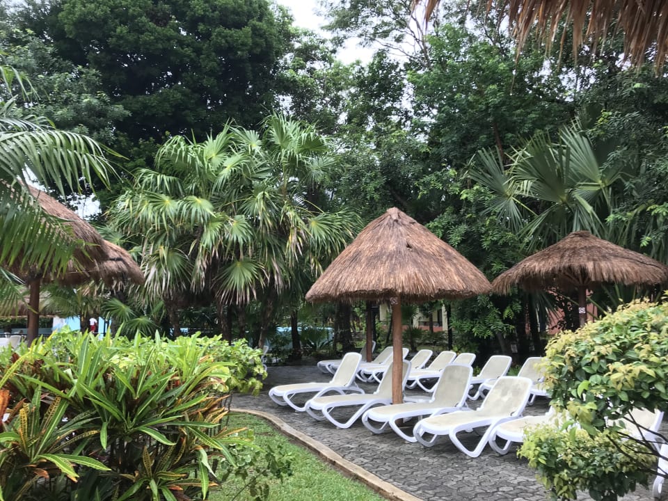 Pool Hotel Riu Tequila